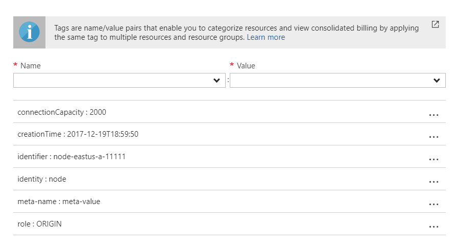 Instance Tags