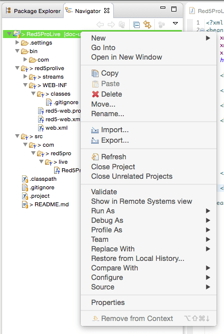 Red5 Pro Application