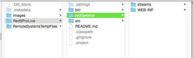 Red5 Pro Application
