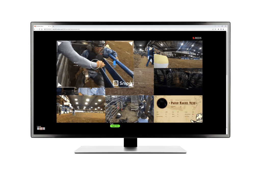 Live Streaming SDK