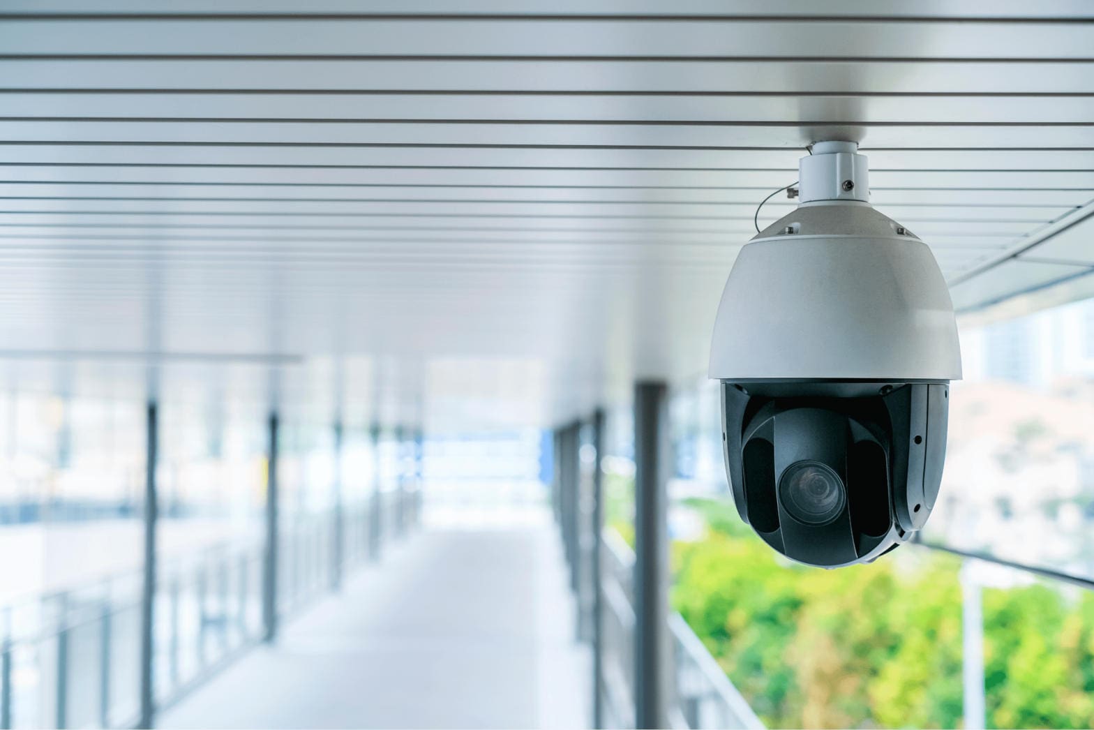 IP camera live streaming